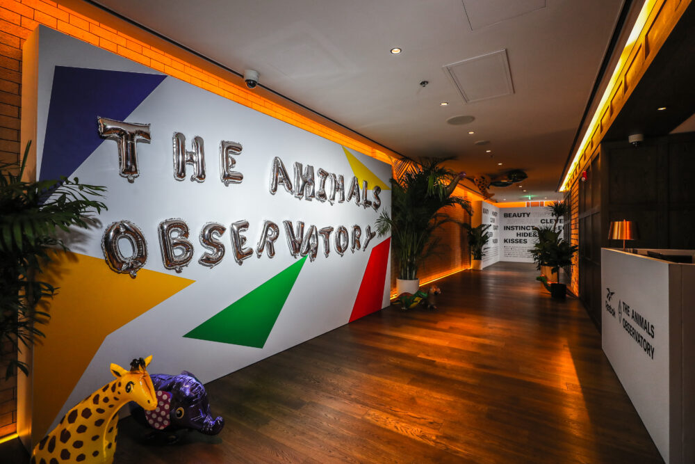 The Animal Obersvatory X Reebok September 7th Shanghai – 9