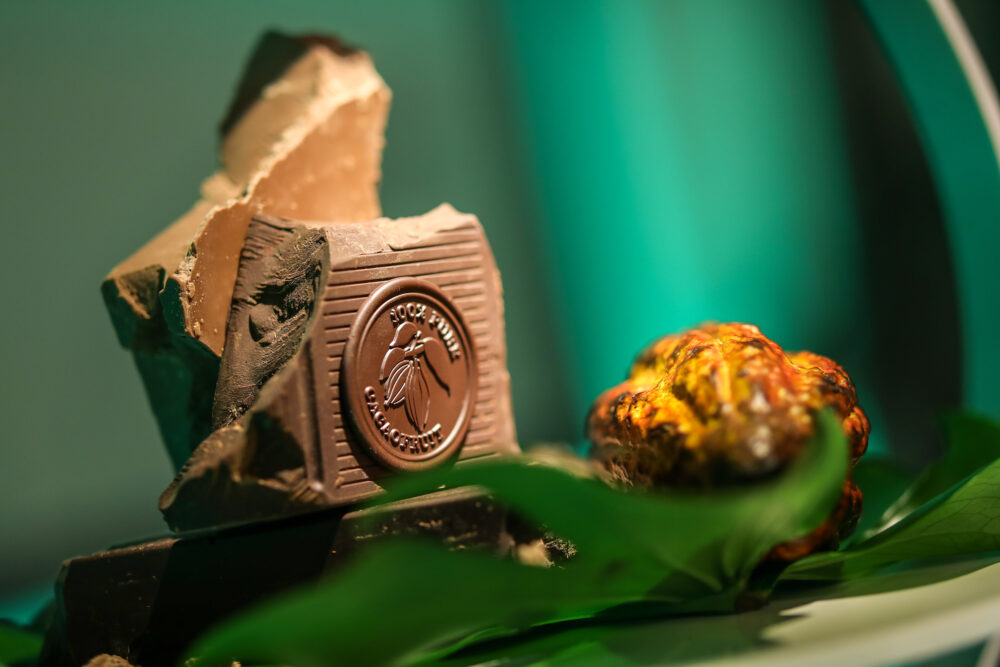 Barry Callebaut Nature Project September 26th – 27th San Francisco – 6