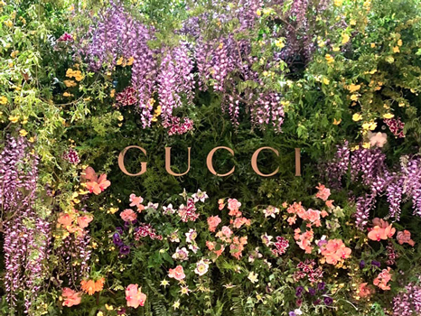 Gucci Ginza Namiki<br>Flagship Store Opening